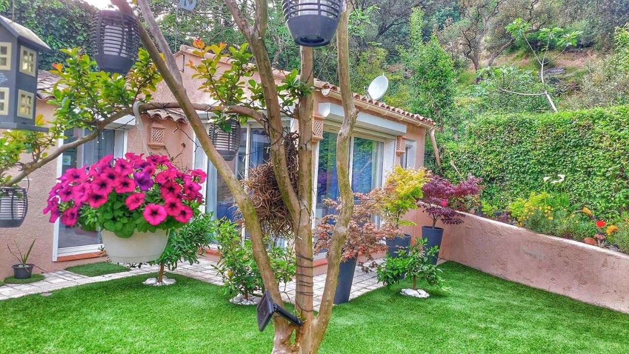 Bed and Breakfast Dans Un Jardin Bb Et Jacuzzi Mandelieu Exterior foto